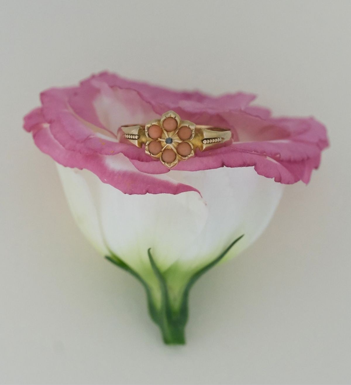 A Mills Heirlooms antique gold ring resting on a pink flower